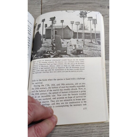 What You Should Know About The purple Martin by J. L. Wade Paperback 1993 - Picture 10 of 11